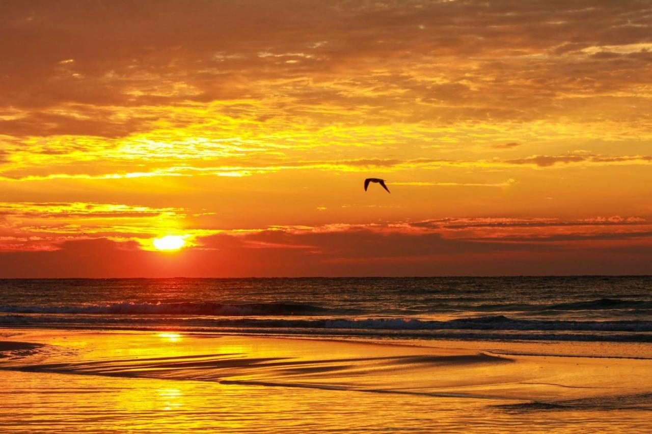 Shores Of Panama Resort Panama City Beach Buitenkant foto